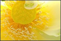 26916c814%5B1%5D.jpg - 6.52kb